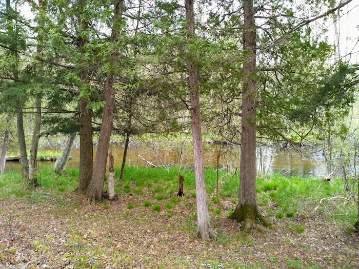 Old Grade Campground 8