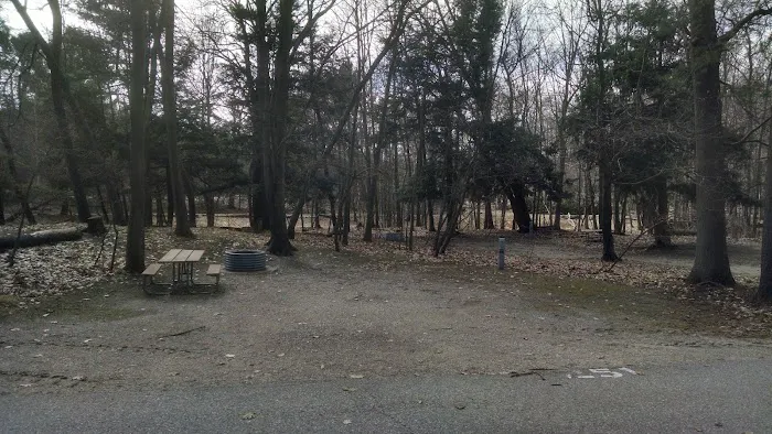 Beechwood Campground 2