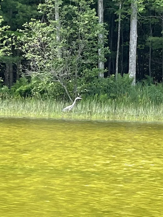 Pine Lake Campground 3
