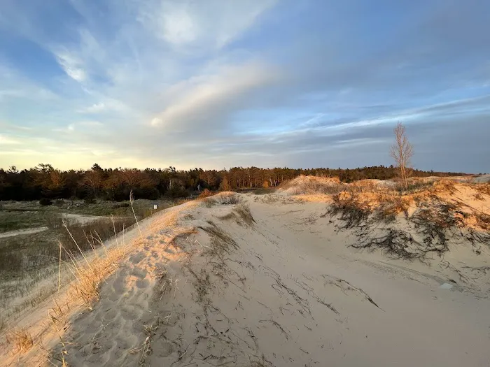 Pines Campground 8