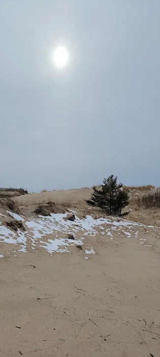 Pines Campground 3