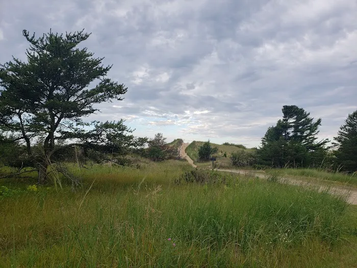 Jack Pine Campground 5