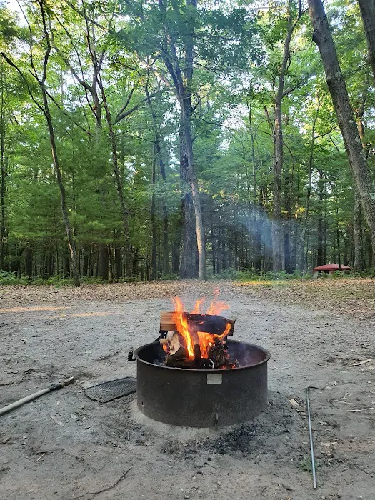 Lake Michigan Recreation Area 4