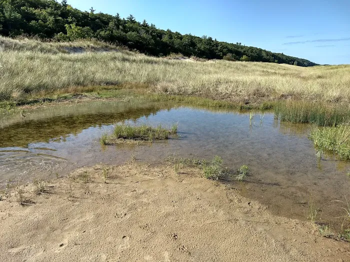 Lake Michigan Recreation Area 9