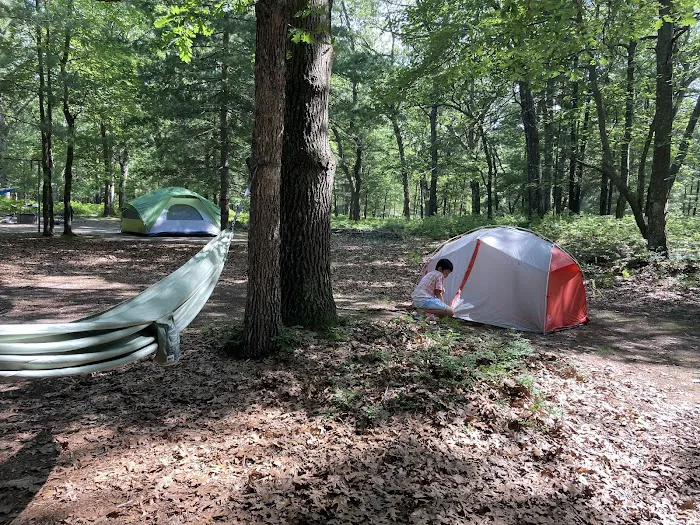 Lake Michigan Recreation Area 7