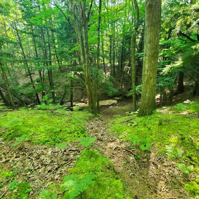 Lake Michigan Recreation Area 10