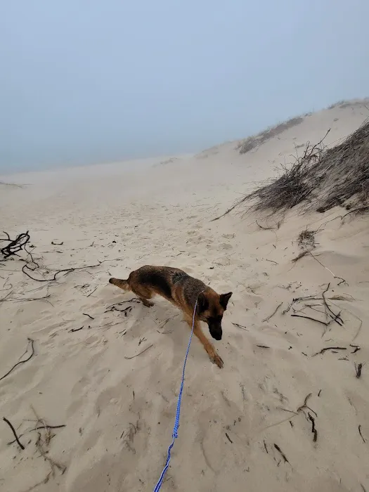 Lake Michigan Recreation Area Group Camping 4