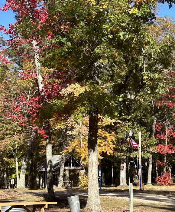 Heart of the Forest RV Park 10