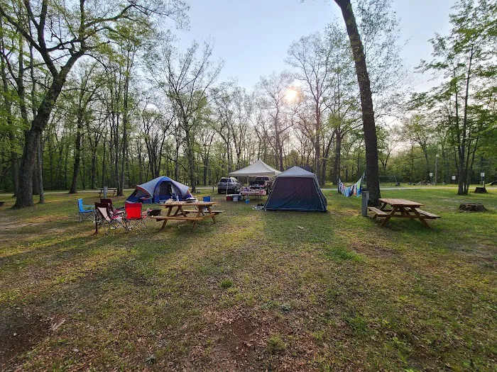 Heart of the Forest RV Park 8