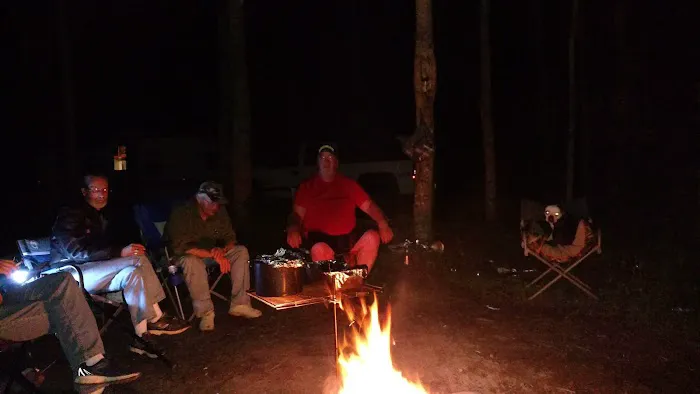 US Forest Service 1