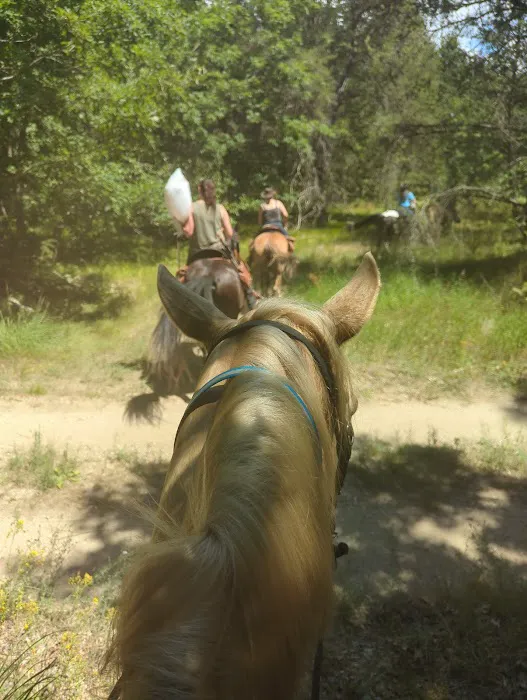 Marzinski Horse Trailhead & Campground 3
