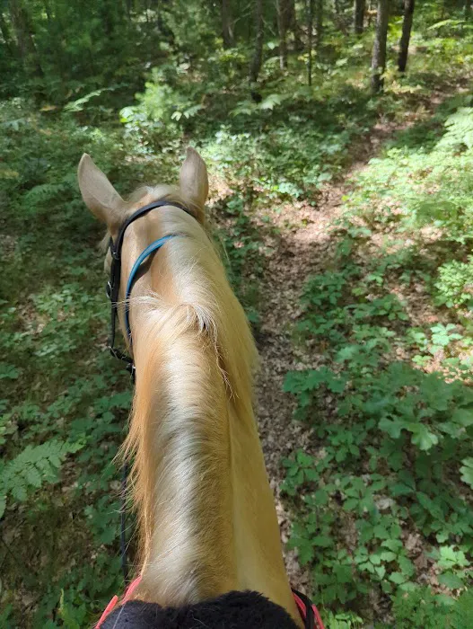Marzinski Horse Trailhead & Campground 6