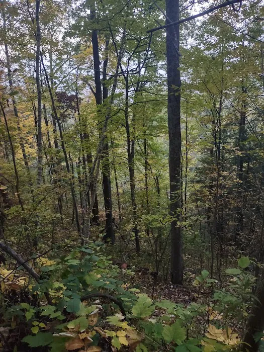 Tippy Dam Campground 10