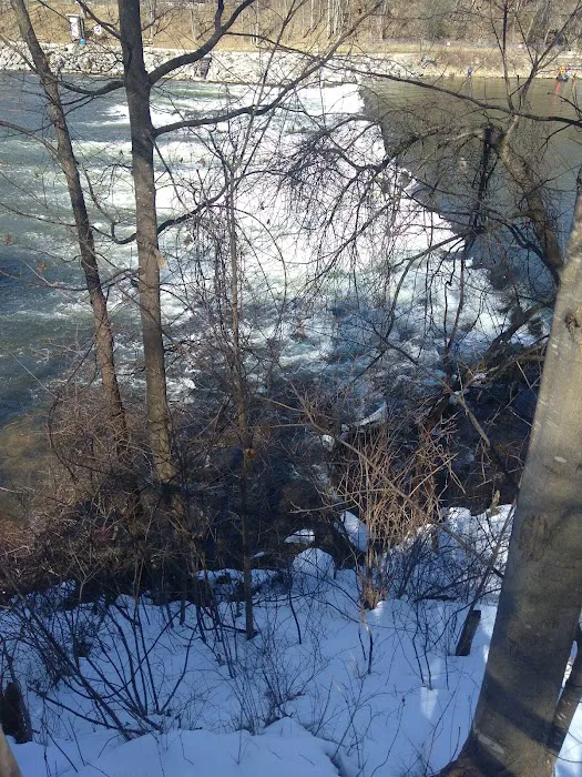 Tippy Dam Campground 6