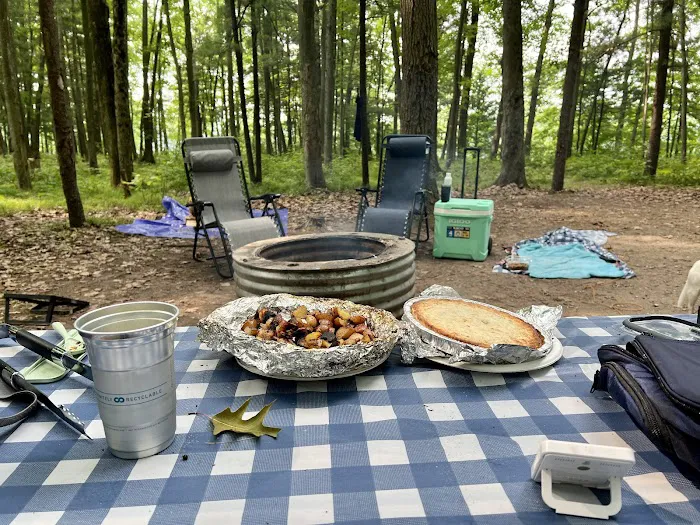 Tippy Dam Campground-MDNR 5