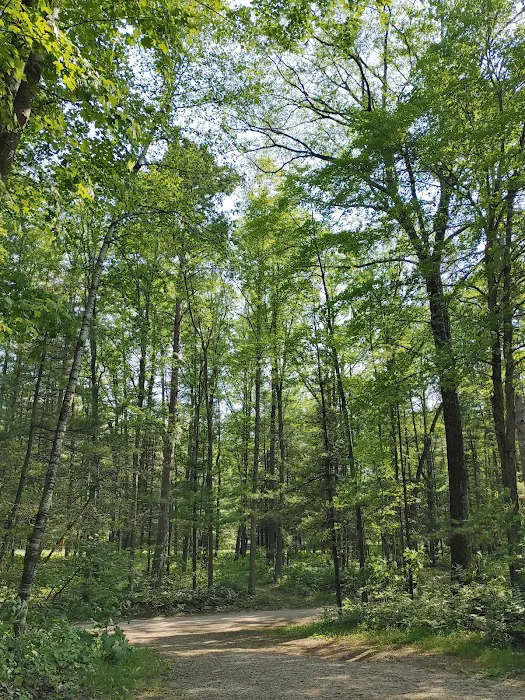 Tippy Dam Campground-MDNR 9
