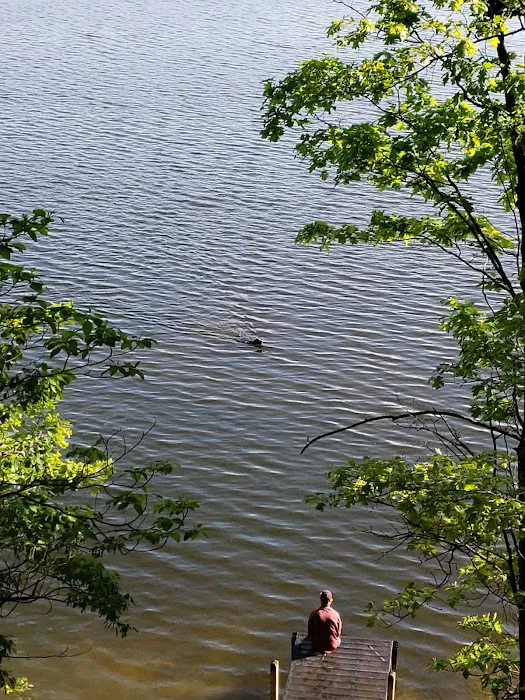 Tippy Dam Campground-MDNR 10