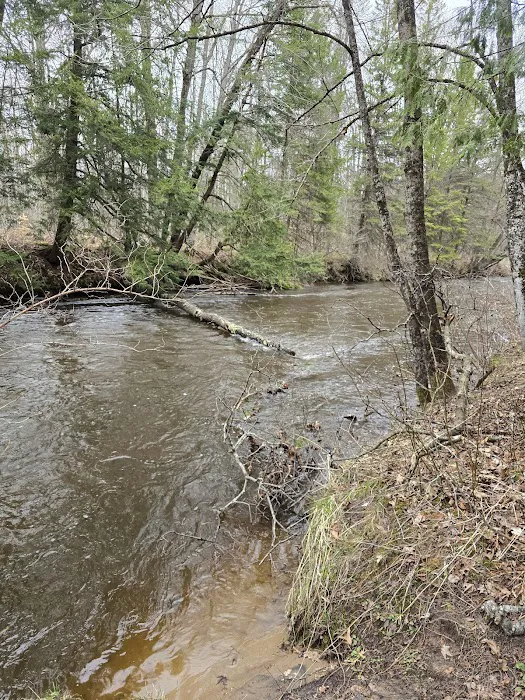 Silver Creek Campground 5