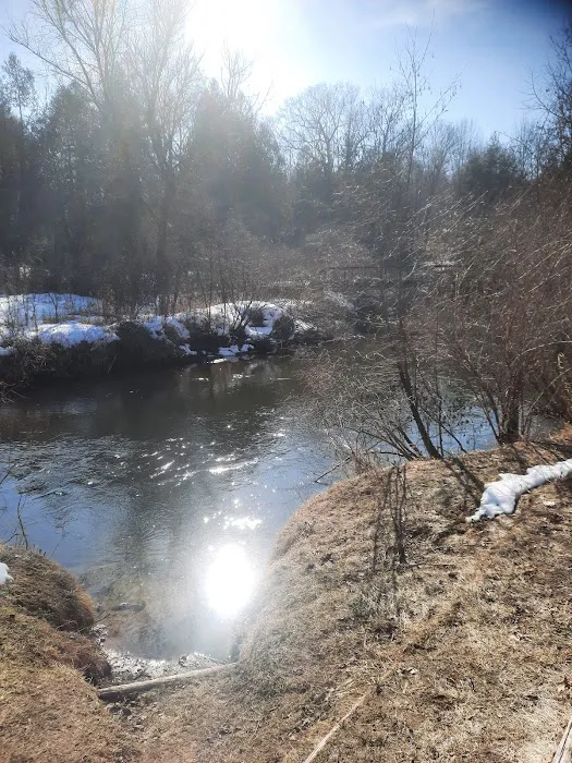 Silver Creek State Forest Campground 6