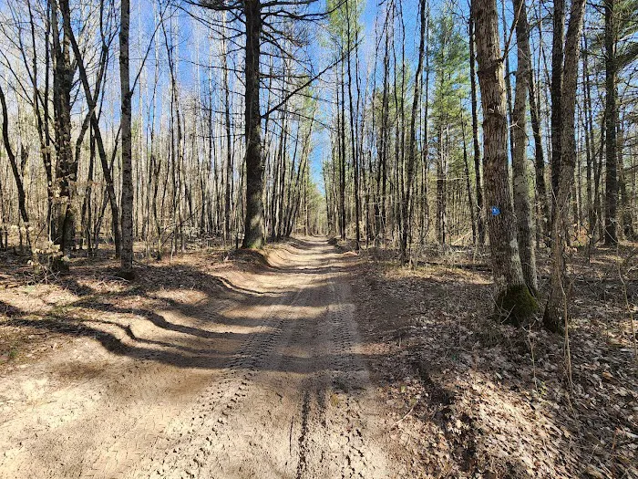 Silver Creek State Forest Campground 3