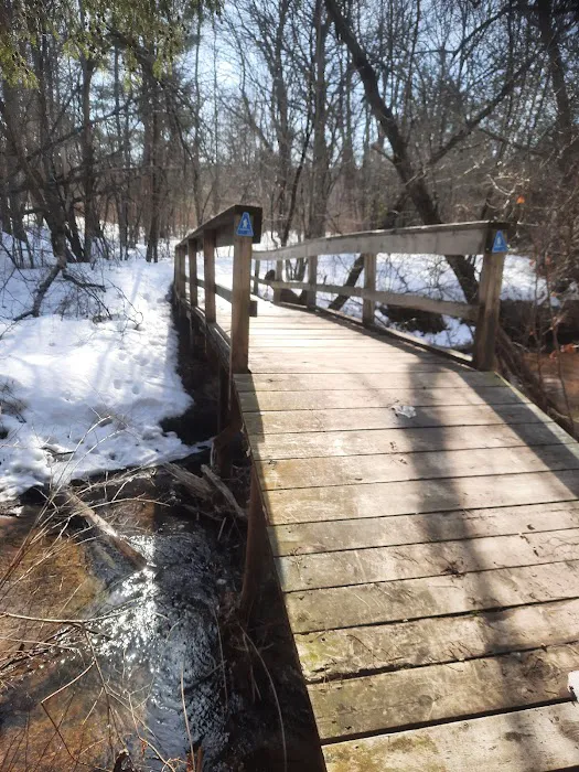 Silver Creek State Forest Campground 8