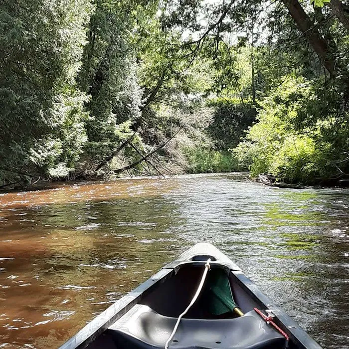 Silver Creek State Forest Campground 1