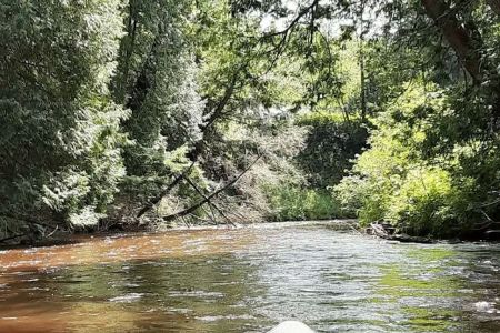 Silver Creek State Forest Campground
