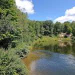 Lincoln Bridge State Forest Campground