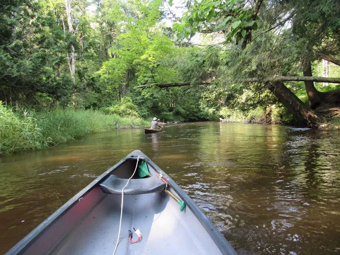 Lincoln Bridge State Forest Campground 10