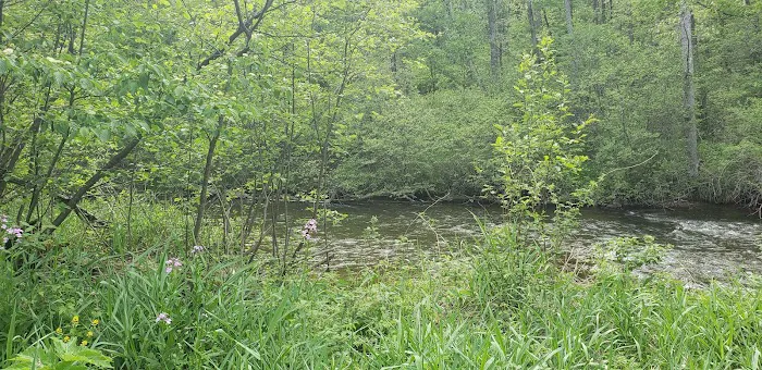 Lincoln Bridge State Forest Campground 8
