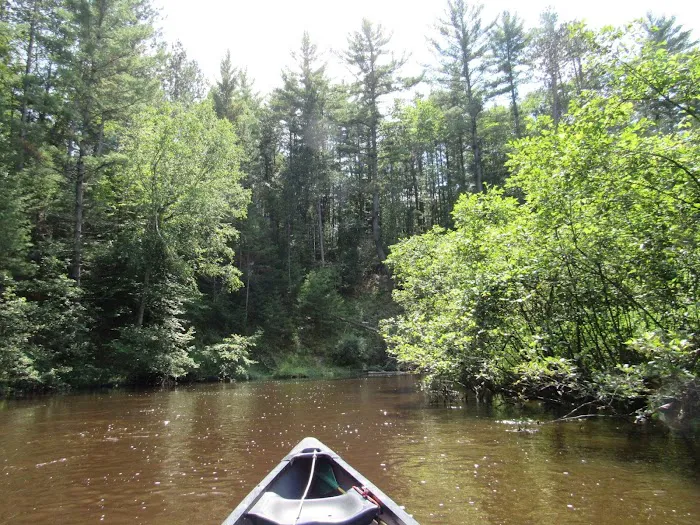 Lincoln Bridge State Forest Campground 9