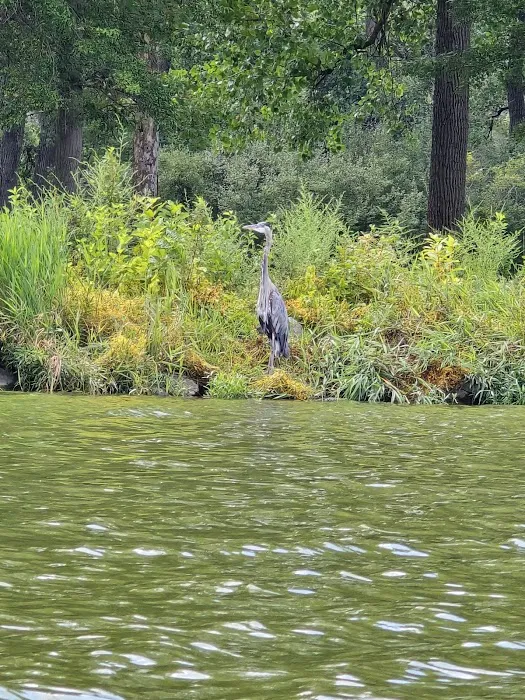 Lake Loramie State Park Campground 8