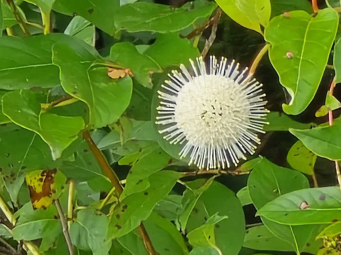 Lake Loramie State Park Campground 2