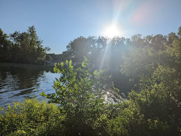Lotus Cove Campground 8