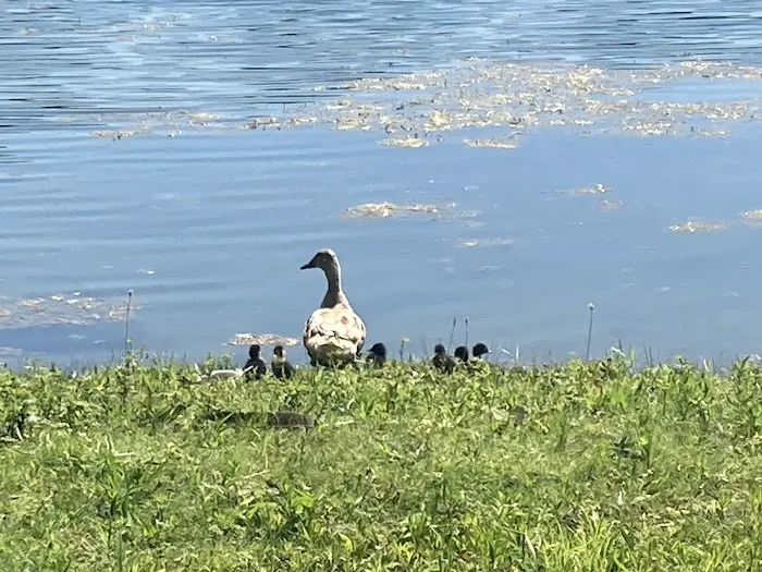 Enon Beach Recreation Park 5