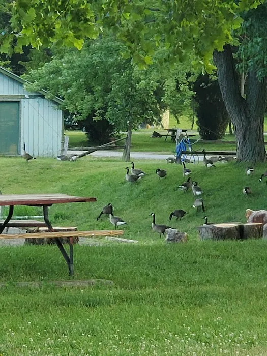 Enon Beach Recreation Park 7