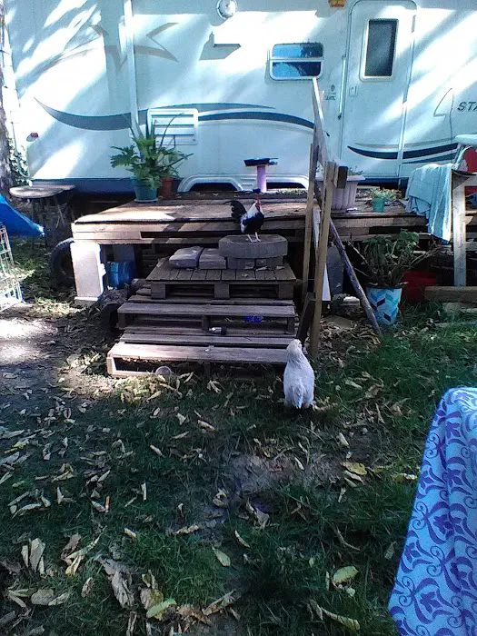Enon Beach Recreation Park 9