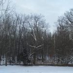 Jefferson Lodge