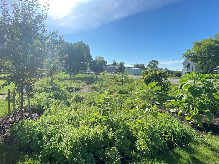 Alton RV Park 1