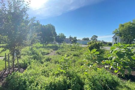Alton RV Park