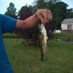 Sunset Springs Family Campground