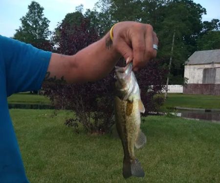 Sunset Springs Family Campground