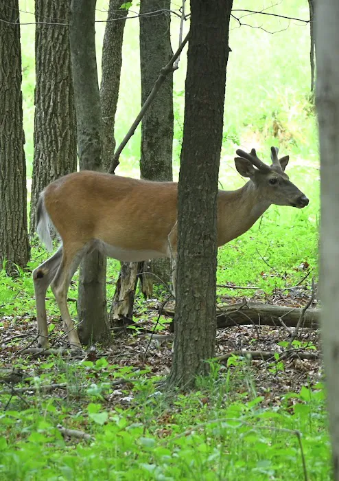 Uncle John's Campground 2