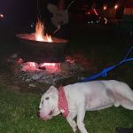 Chatham Lakes Campground