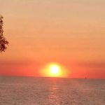 Erie West Mobile Home Community