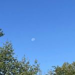 Brookdale Park MHP LLC