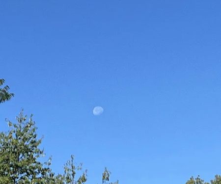 Brookdale Park MHP LLC