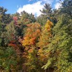 The Lost Horizons Family Campground