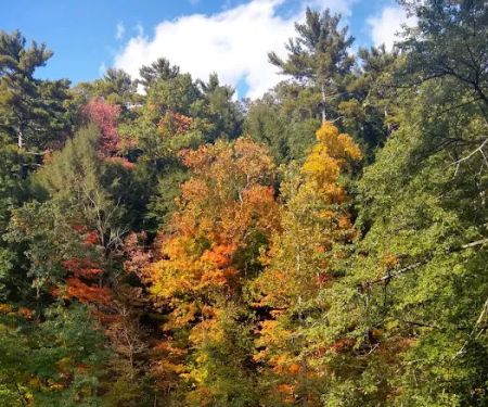 The Lost Horizons Family Campground