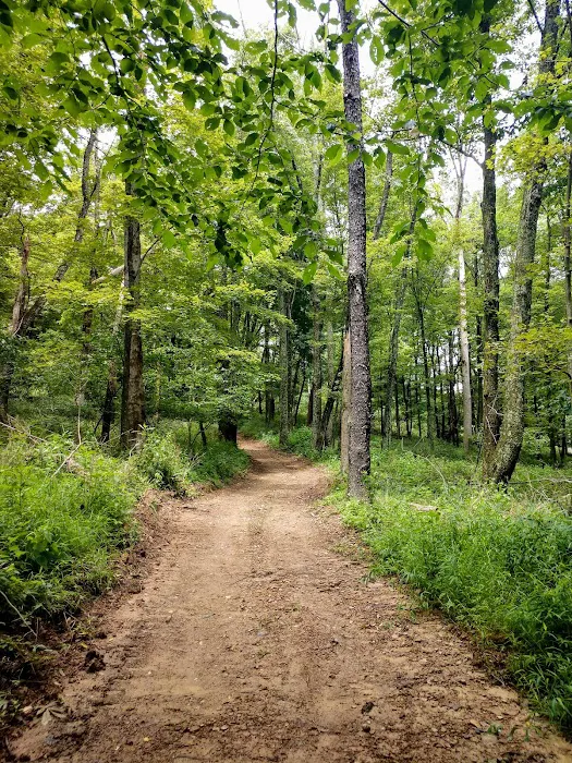 October Hill Campground 2